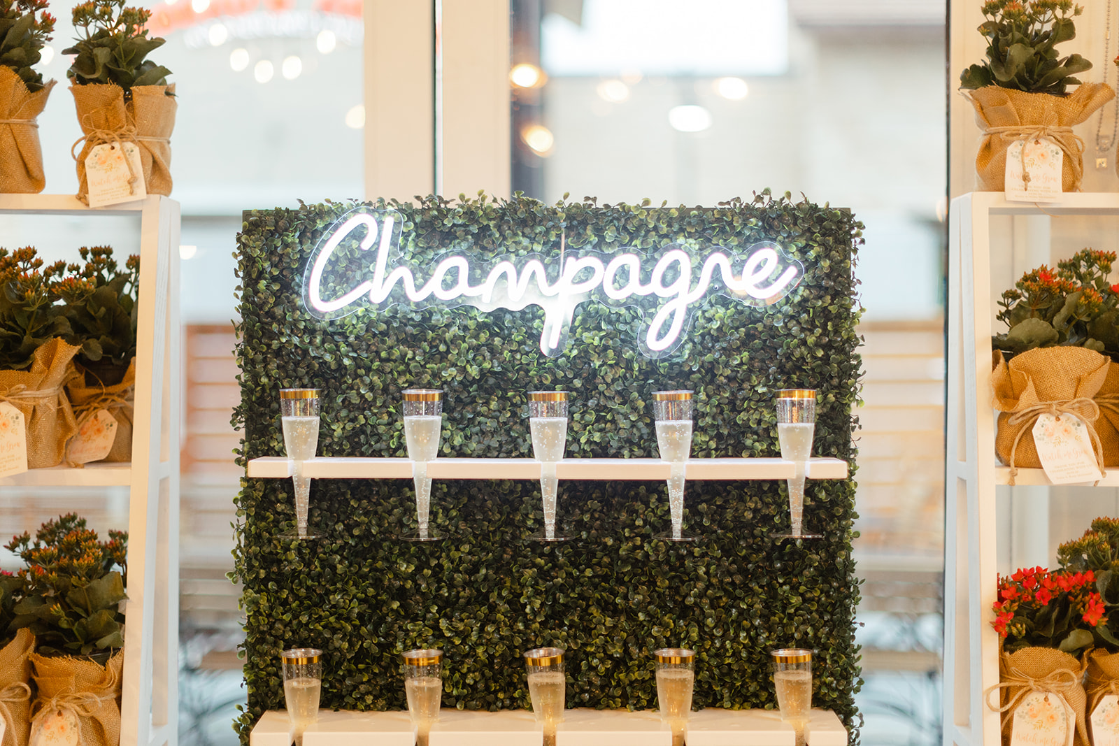 Sip & Savor