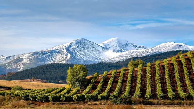 A Taste of Spain