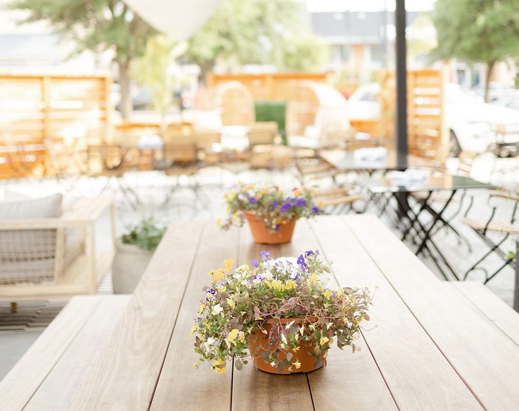 Sip & Savor Bright and Airy Patio Vibes